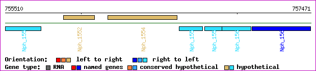 gene map