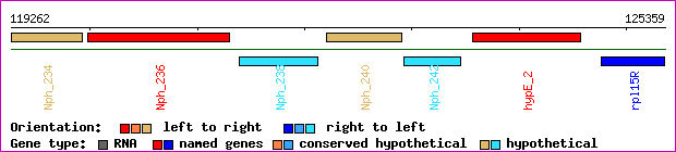 gene map