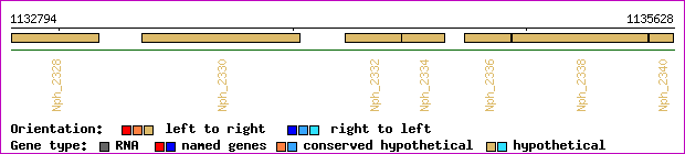 gene map