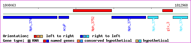 gene map