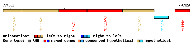 gene map