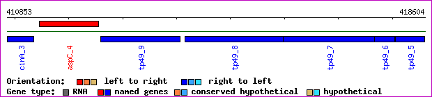 gene map