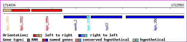 gene map