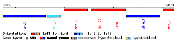 gene map