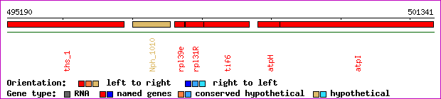 gene map