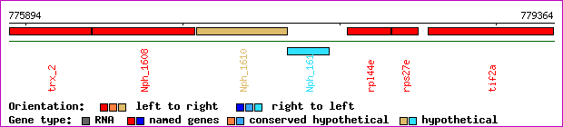 gene map