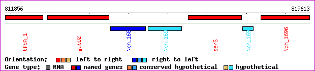 gene map