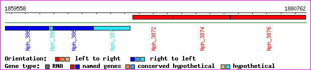 gene map