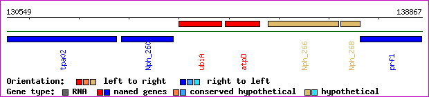 gene map