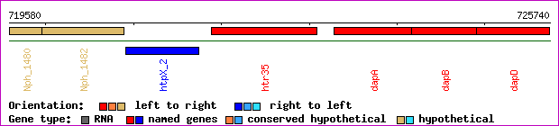 gene map
