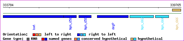 gene map