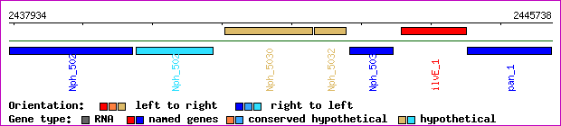 gene map
