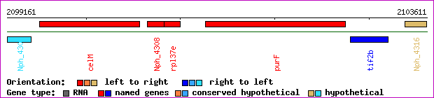 gene map