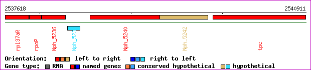 gene map