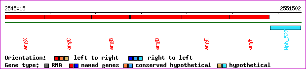gene map