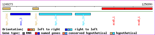 gene map