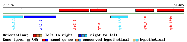 gene map