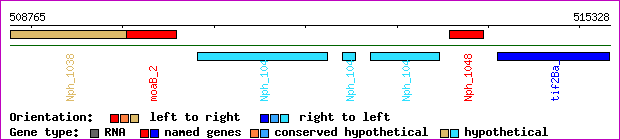 gene map