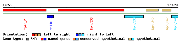 gene map