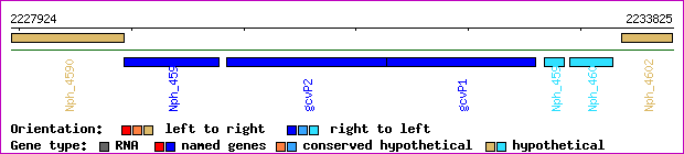 gene map
