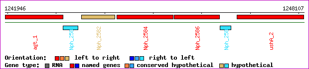 gene map