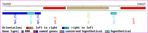 gene map