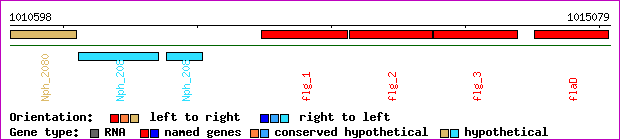 gene map