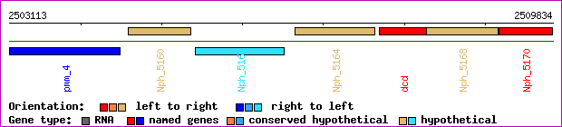 gene map