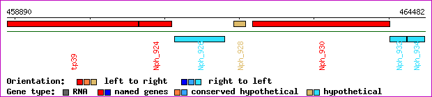 gene map
