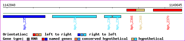 gene map