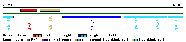 gene map