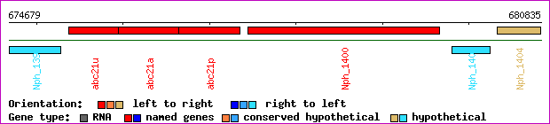 gene map