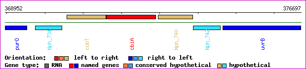 gene map