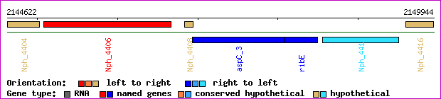 gene map