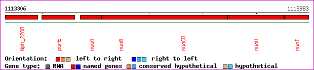 gene map