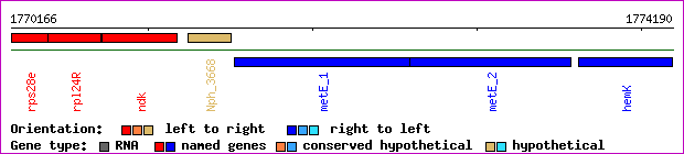 gene map