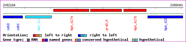 gene map