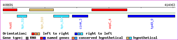 gene map