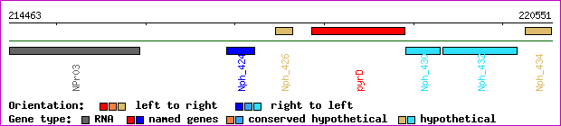 gene map