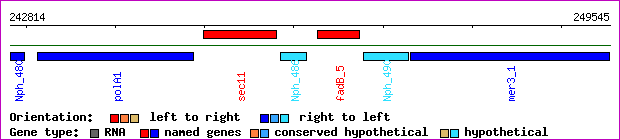 gene map