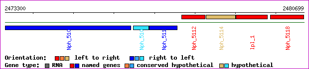 gene map