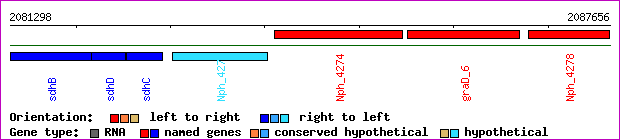gene map