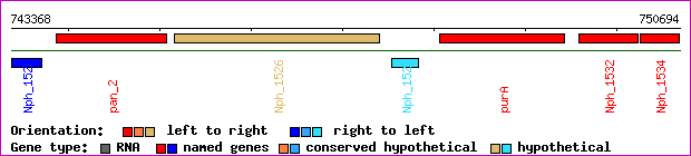 gene map