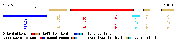 gene map