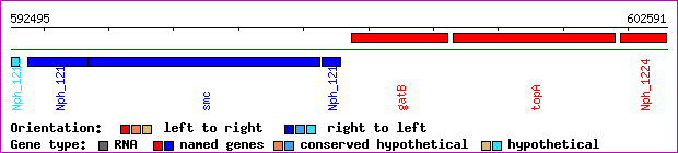 gene map