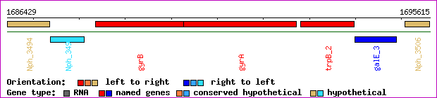 gene map