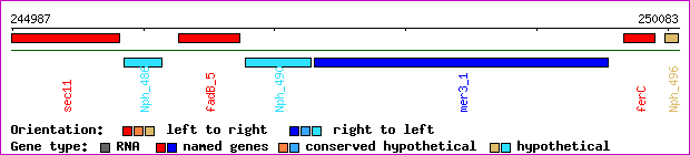 gene map