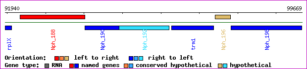 gene map