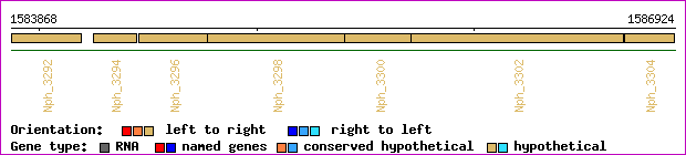 gene map