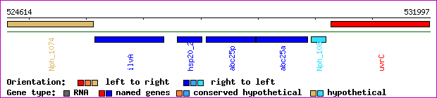 gene map